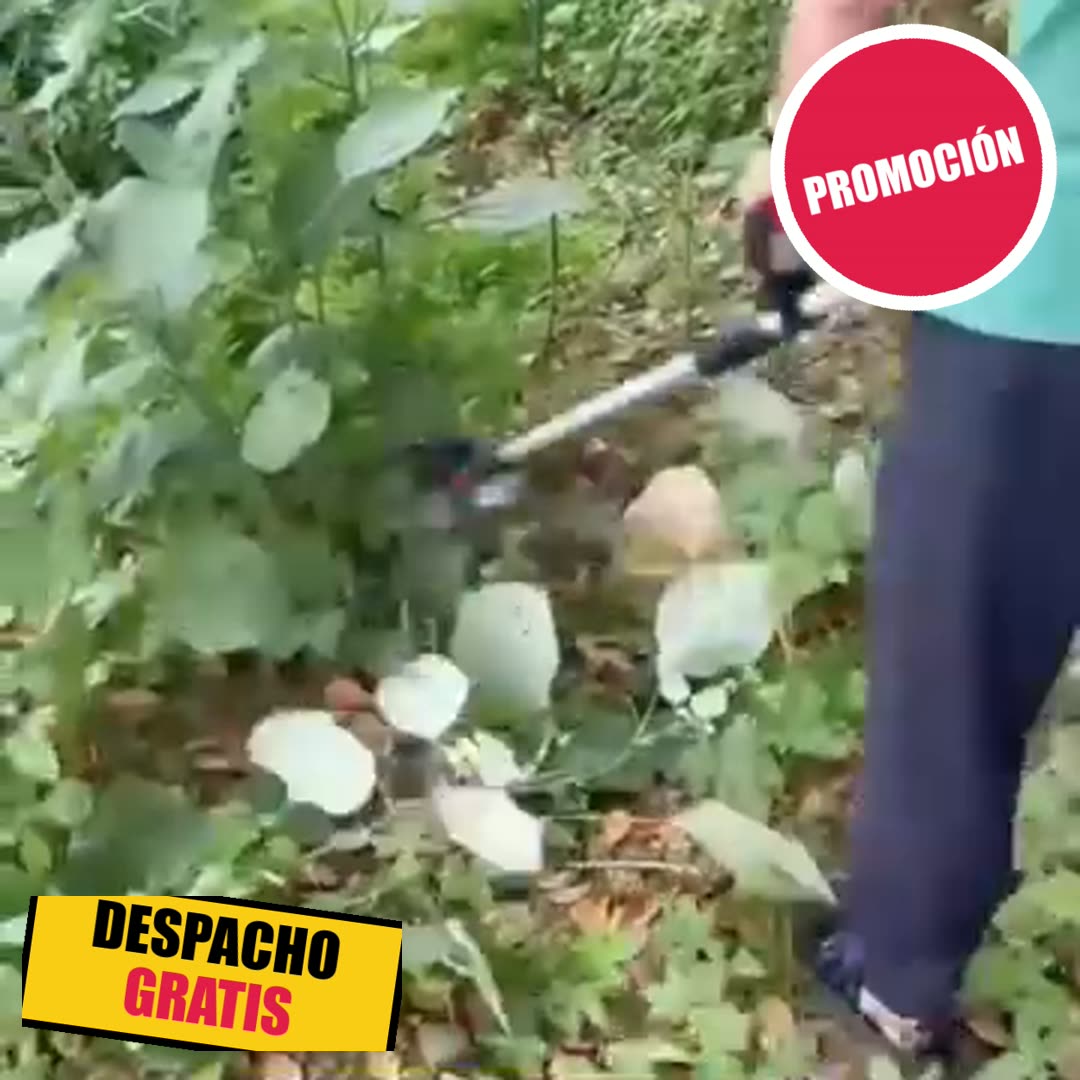 Hombre desmalezando con la cortadora inalámbrica