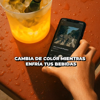 El complemento perfecto para las fiestas de fin de año - HIELERA CON PARLANTE