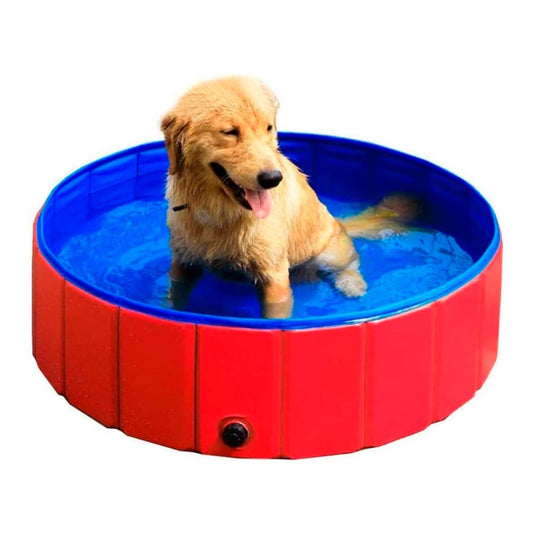 ¡REFRESCA EL DÍA DE TU MASCOTA CON LA NUEVA PISCINA PLEGABLE PARA MASCOTAS!